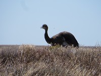 IMG_1335