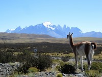 IMG_1344