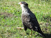 IMG_1356