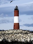 IMG_1395