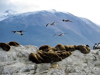 IMG_1411