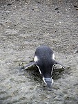 IMG_1416