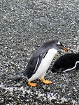 IMG_1420