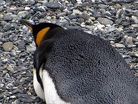 IMG_1443