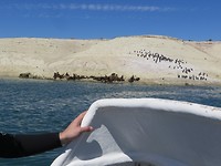 IMG_1463