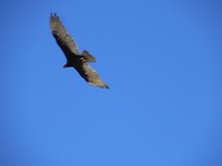IMG_1477