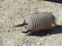 IMG_1483