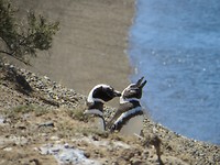 IMG_1498