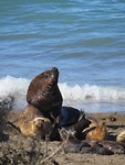 IMG_1517