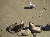IMG_1542