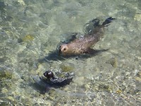 IMG_1556