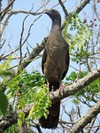 IMG_1593