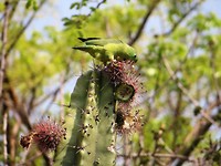 IMG_1610