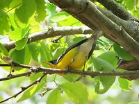IMG_1615
