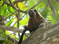IMG_1778