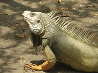 IMG_1807