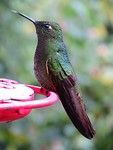 IMG_1666