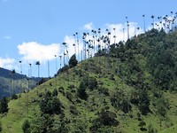 IMG_1683