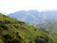 IMG_1685