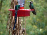 IMG_1695