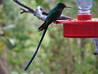 IMG_1707