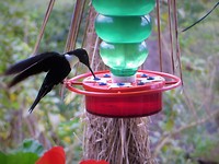 IMG_1715