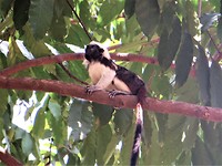 IMG_1751