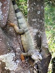 IMG_1759