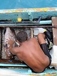 IMG_1819