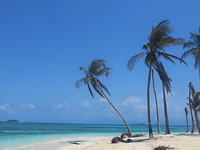 IMG_1920
