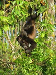 IMG_1986