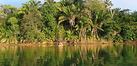 20190331_070449