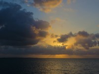 IMG_1924