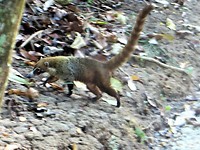 IMG_1931