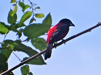 IMG_1940