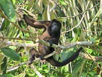 IMG_1968