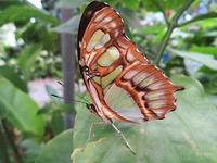 IMG_2005