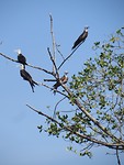 IMG_2023