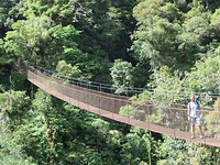 IMG_2050