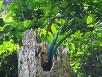 IMG_2066