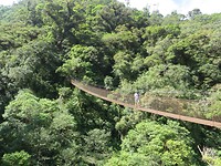 IMG_2049