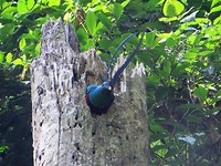 IMG_2077