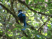 IMG_2088