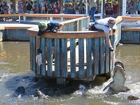 IMG_2103