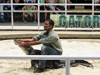 IMG_2114