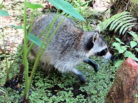 IMG_2120