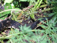 IMG_2126