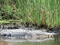 IMG_2147