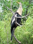 IMG_2151