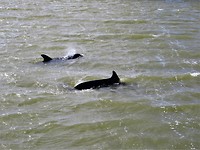 IMG_2171